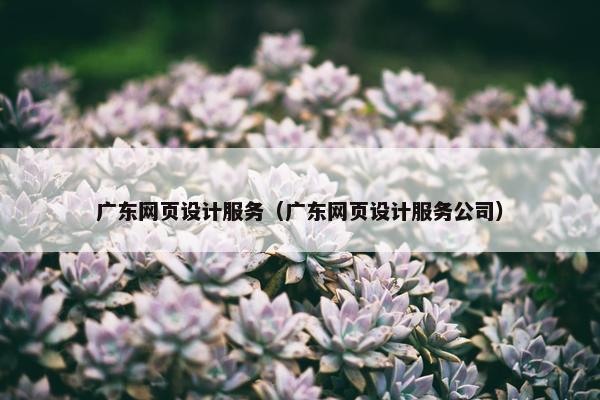 广东网页设计服务（广东网页设计服务公司）