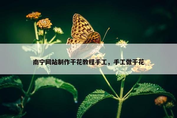南宁网站制作干花教程手工，手工做干花
