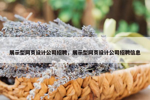 展示型网页设计公司招聘，展示型网页设计公司招聘信息