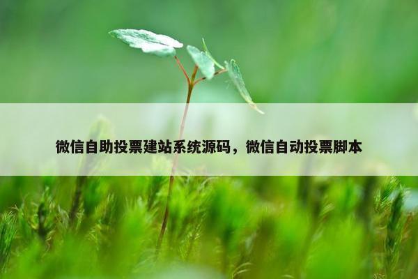 微信自助投票建站系统源码，微信自动投票脚本