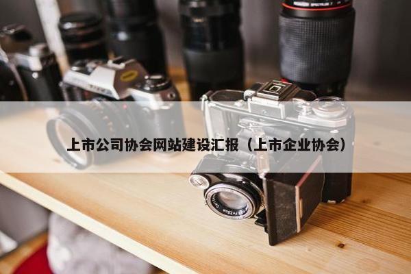 上市公司协会网站建设汇报（上市企业协会）