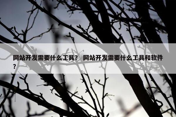 网站开发需要什么工具？ 网站开发需要什么工具和软件？