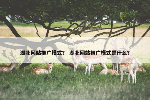 湖北网站推广模式？ 湖北网站推广模式是什么？