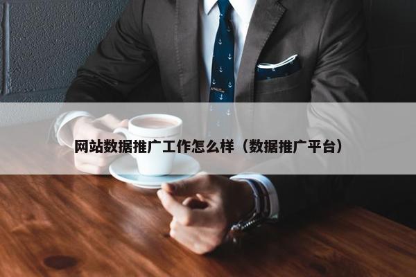 网站数据推广工作怎么样（数据推广平台）