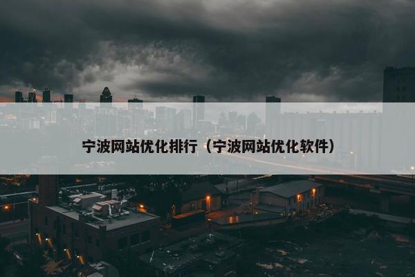 宁波网站优化排行（宁波网站优化软件）