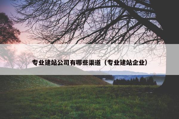 专业建站公司有哪些渠道（专业建站企业）