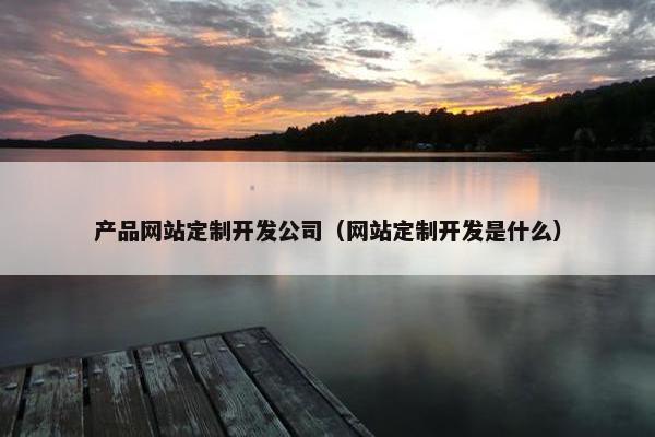 产品网站定制开发公司（网站定制开发是什么）