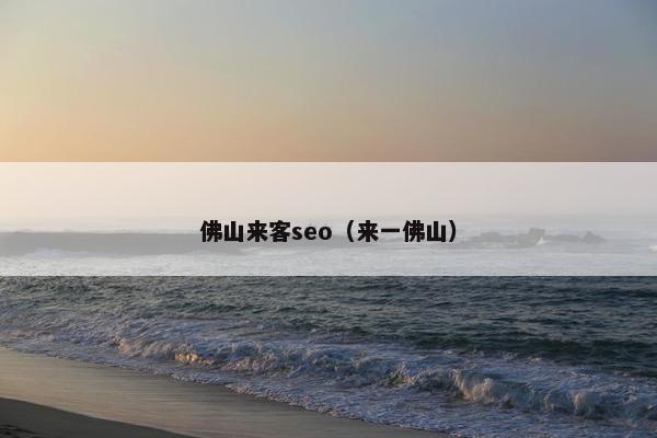 佛山来客seo（来一佛山）