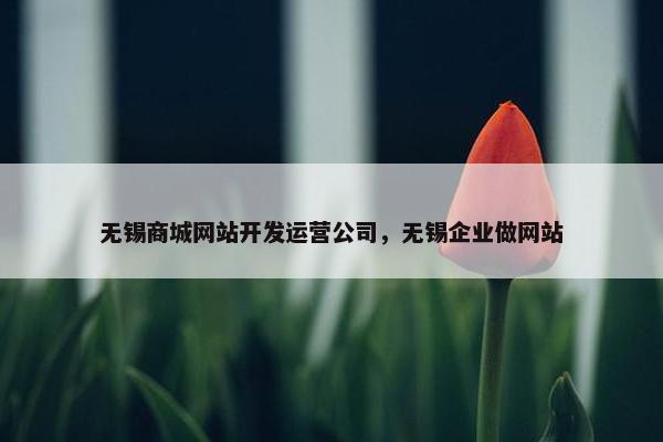 无锡商城网站开发运营公司，无锡企业做网站