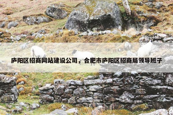 庐阳区招商网站建设公司，合肥市庐阳区招商局领导班子