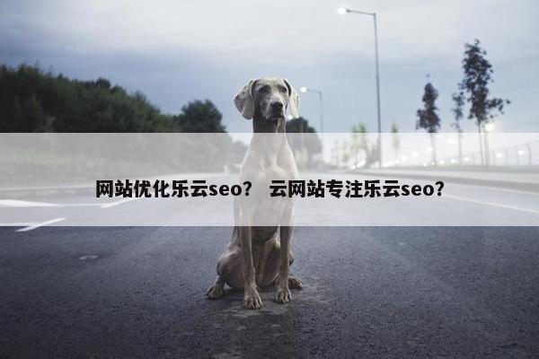 网站优化乐云seo？ 云网站专注乐云seo？