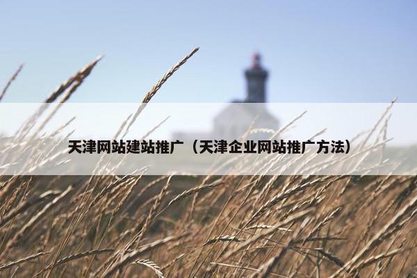 天津网站建站推广（天津企业网站推广方法）