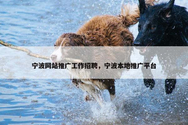 宁波网站推广工作招聘，宁波本地推广平台