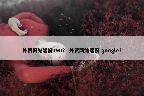外贸网站建设390？ 外贸网站建设 google？