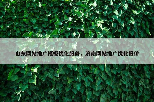 山东网站推广模板优化服务，济南网站推广优化报价