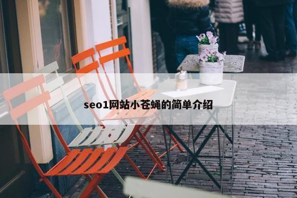 seo1网站小苍蝇的简单介绍