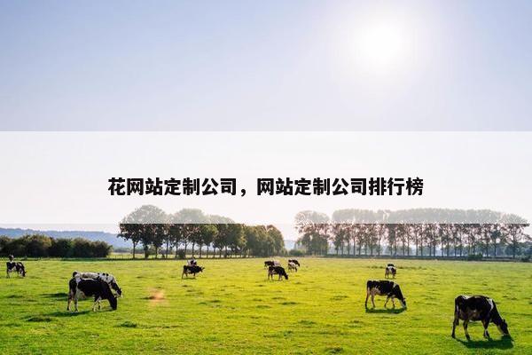 花网站定制公司，网站定制公司排行榜