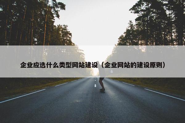 企业应选什么类型网站建设（企业网站的建设原则）