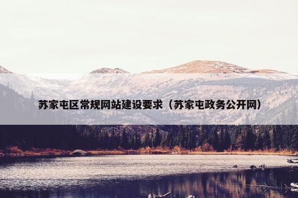 苏家屯区常规网站建设要求（苏家屯政务公开网）