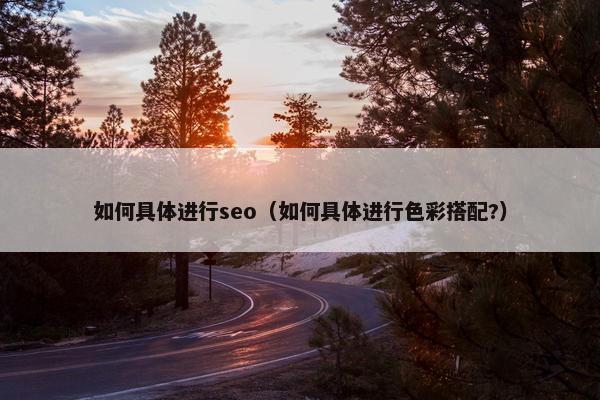 如何具体进行seo（如何具体进行色彩搭配?）