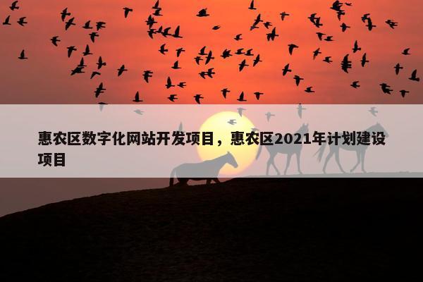 惠农区数字化网站开发项目，惠农区2021年计划建设项目