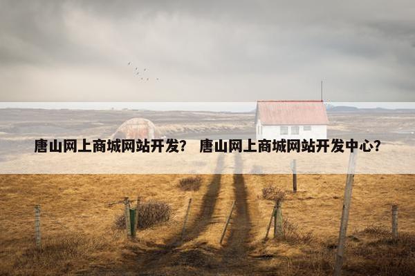 唐山网上商城网站开发？ 唐山网上商城网站开发中心？