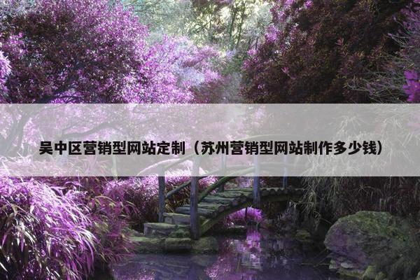 吴中区营销型网站定制（苏州营销型网站制作多少钱）