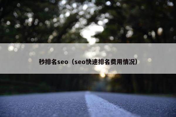秒排名seo（seo快速排名费用情况）