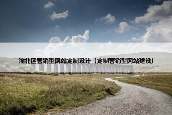 渝北区营销型网站定制设计（定制营销型网站建设）