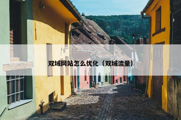 双域网站怎么优化（双域流量）