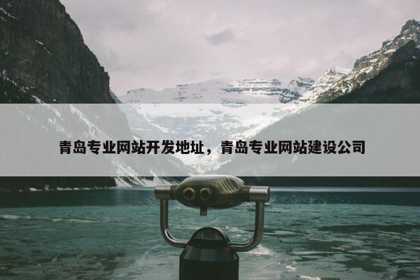 青岛专业网站开发地址，青岛专业网站建设公司