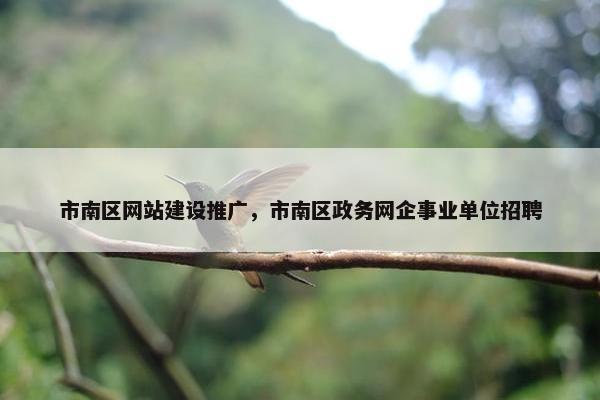 市南区网站建设推广，市南区政务网企事业单位招聘