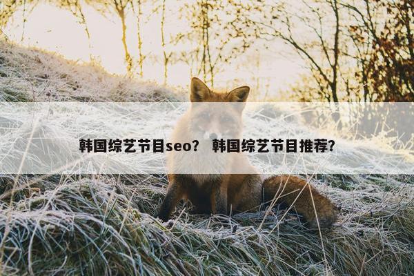 韩国综艺节目seo？ 韩国综艺节目推荐？