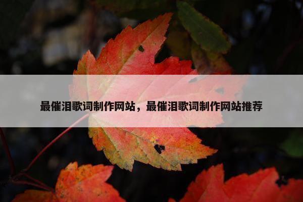 最催泪歌词制作网站，最催泪歌词制作网站推荐