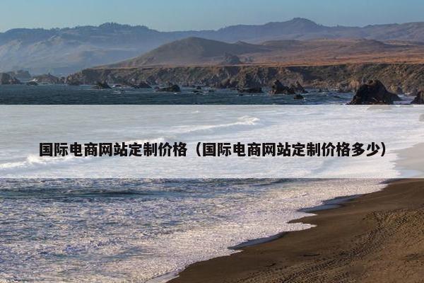 国际电商网站定制价格（国际电商网站定制价格多少）