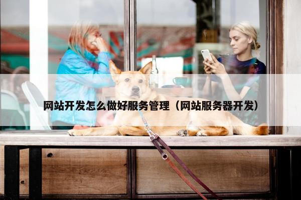 网站开发怎么做好服务管理（网站服务器开发）