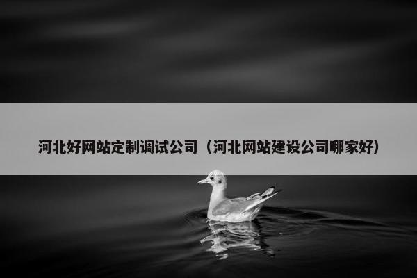 河北好网站定制调试公司（河北网站建设公司哪家好）