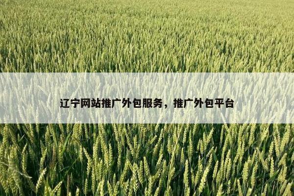 辽宁网站推广外包服务，推广外包平台