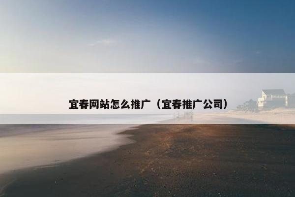 宜春网站怎么推广（宜春推广公司）