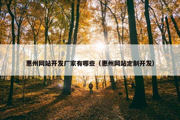 惠州网站开发厂家有哪些（惠州网站定制开发）