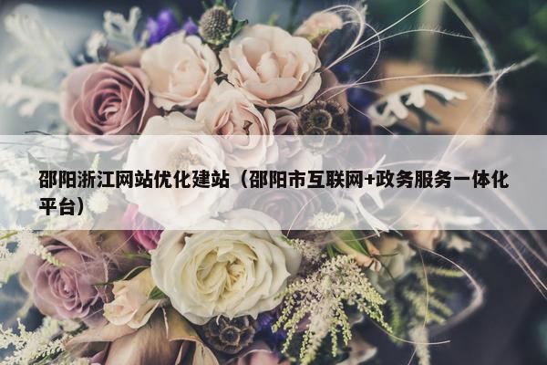 邵阳浙江网站优化建站（邵阳市互联网+政务服务一体化平台）