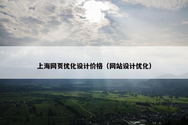 上海网页优化设计价格（网站设计优化）