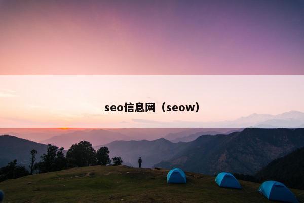 seo信息网（seow）