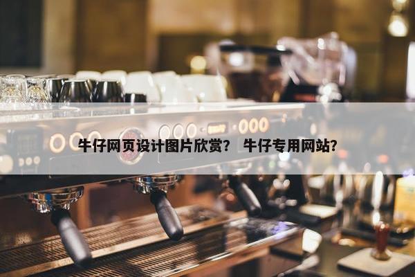 牛仔网页设计图片欣赏？ 牛仔专用网站？