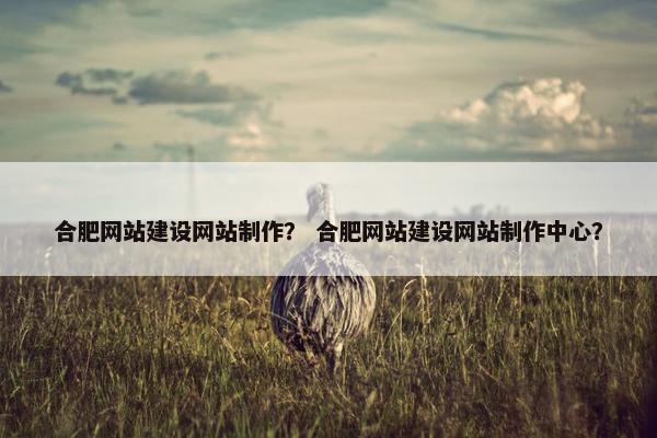 合肥网站建设网站制作？ 合肥网站建设网站制作中心？