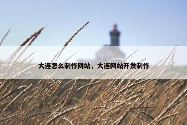 大连怎么制作网站，大连网站开发制作