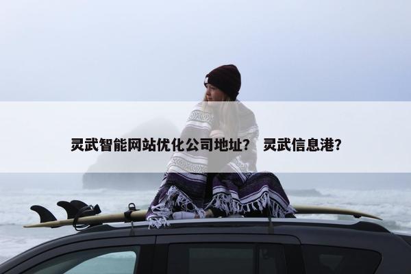 灵武智能网站优化公司地址？ 灵武信息港？