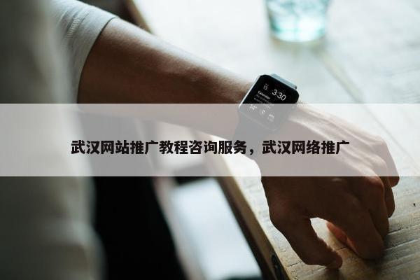 武汉网站推广教程咨询服务，武汉网络推广