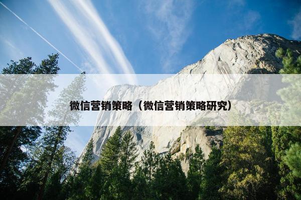 微信营销策略（微信营销策略研究）