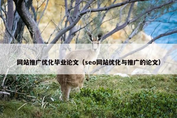 网站推广优化毕业论文（seo网站优化与推广的论文）